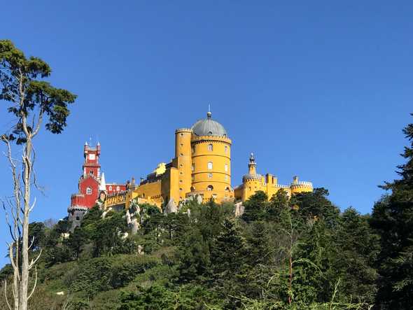 Castle From Afar