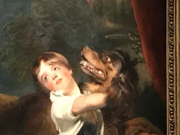 Funny Dog Zoom