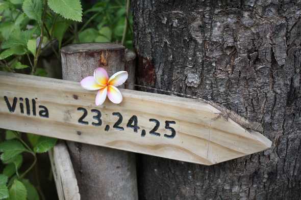 41
