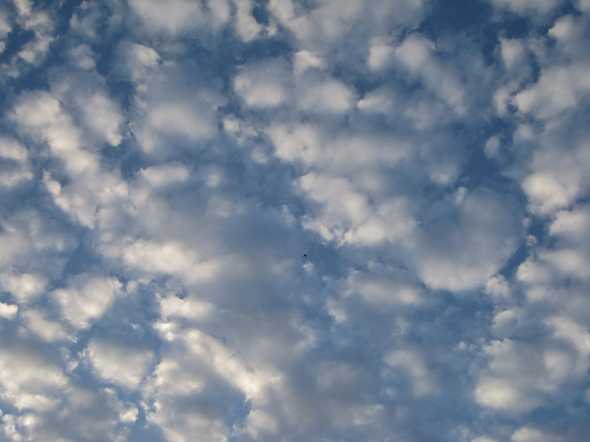 SB Sky