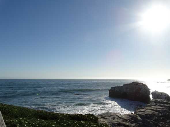 Natty Cove