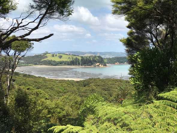 Waiheke Bay