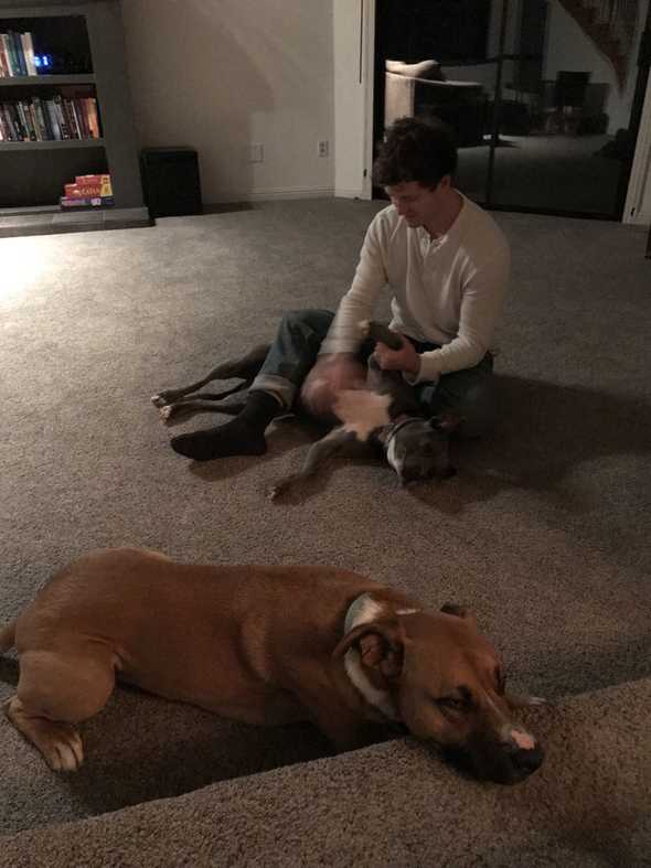 Bear and Thor