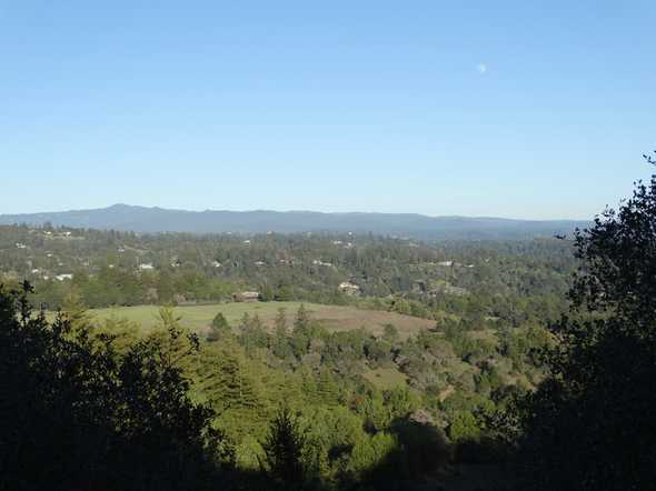 Pogonip View