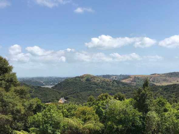 Waiheke Lookout